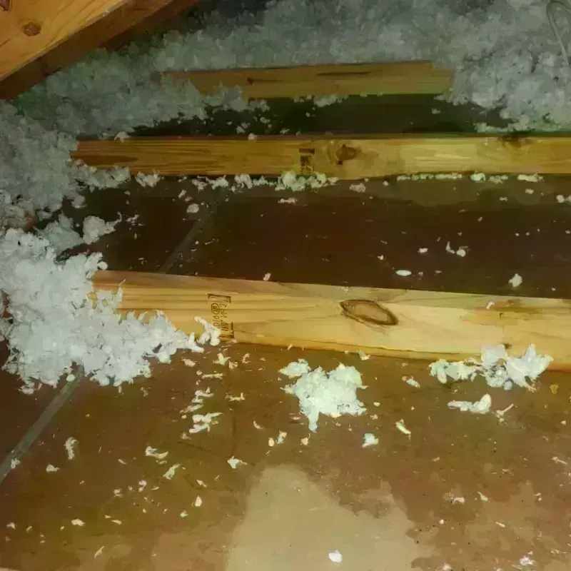 Attic Water Damage in Crawford County, IL