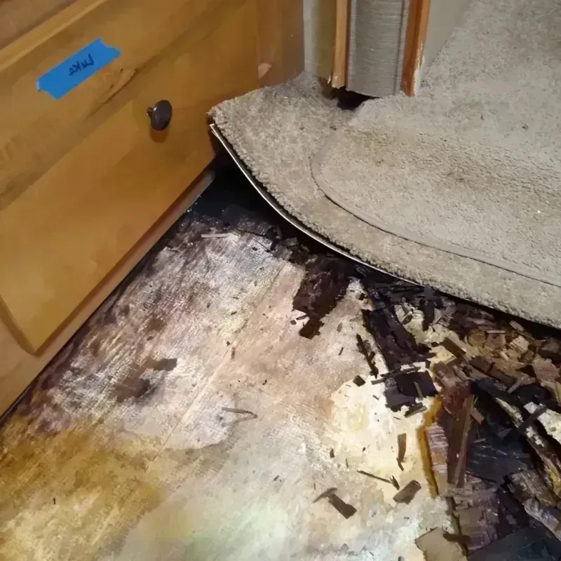 Wood Floor Water Damage in Crawford County, IL